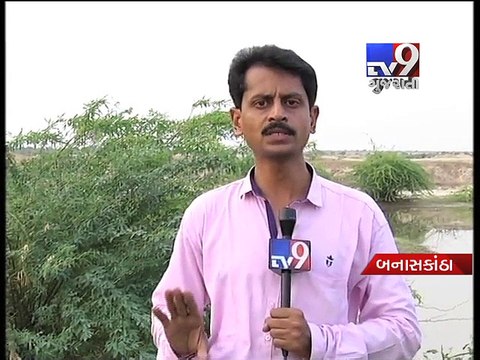 Watch how BSF jawans are patrolling on Camels back for our security - Tv9 Gujarati
