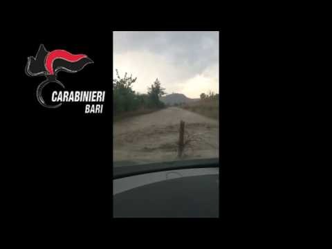 Bisceglie - Famiglia lussemburghese salvata dai Carabinieri a Minervino (02.09.16)