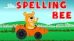Spelling Bee | Sight Words for Kids | Learn English