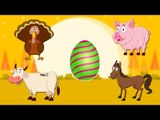 Farm Animals | Surprise Eggs With Rory | Learn Animal Names And Sounds With Suprise Egss For Kids