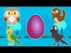 Birds | Surprise Eggs | Learn Birds Names And Sounds With Suprise Egss For Kids