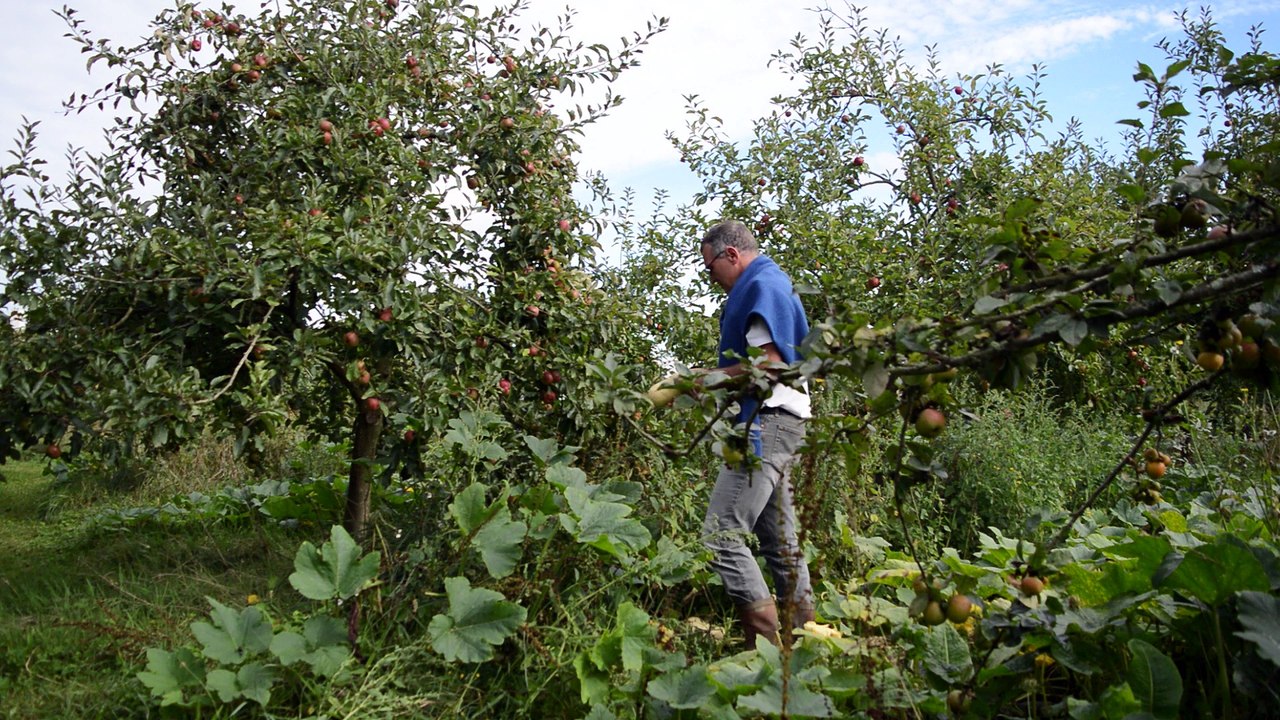 Agroforesterie : des vergers maraichers au lycée agricole de Suscinio