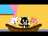 Tres Gatitos   18 min español compilación canción infantil