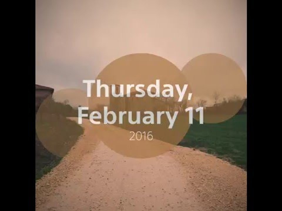 Day 42: Snippets