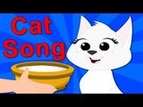 Cat Song | Nursery Rhymes | Kids Rhymes | Baby Songs | Video For Childrens