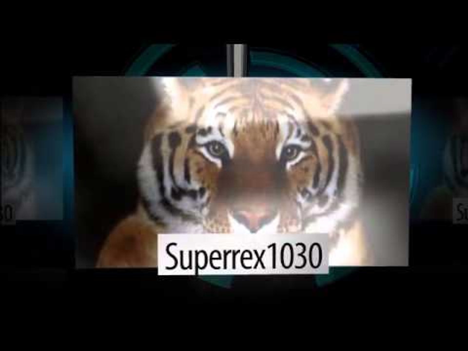 My New Intro