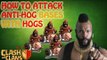 Clash of Clans: HOW TO ATTACK ANTI-HOG BASES WITH HOGS - ATTACK STRATEGY