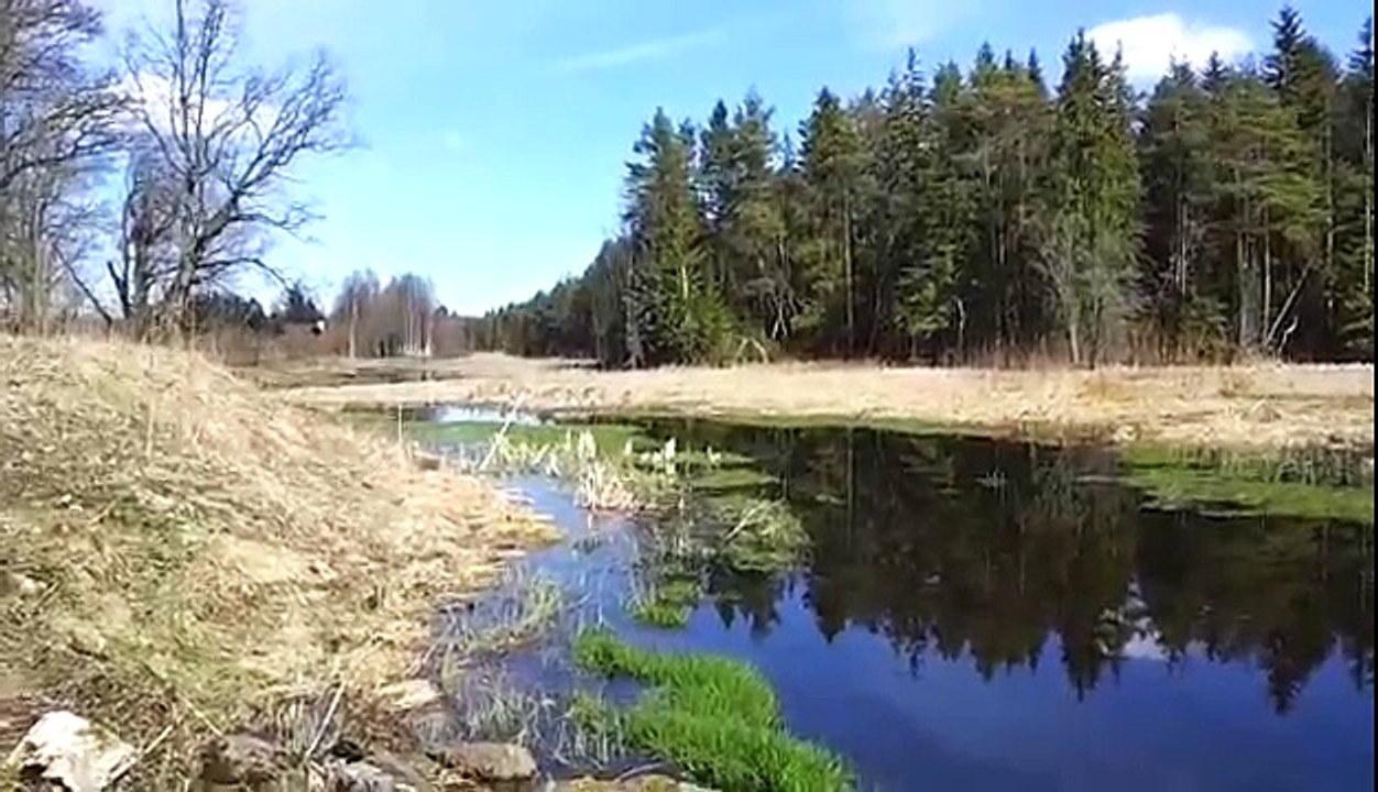 VLOG-MI VIDA EN ESTONIA-NATURALEZA PURA-Youtube