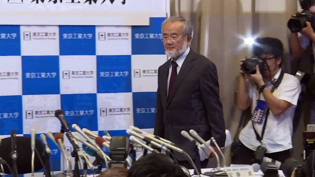 Japonês vence o Nobel de Medicina