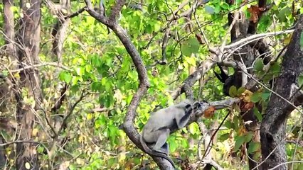 Travelling Around India