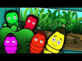 Five Little Caterpillars | Five Little Series