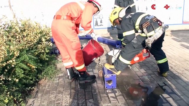 Un chat coincé dans un tuyau sauvé par des pompiers