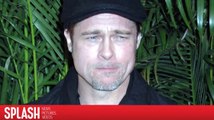 Brad Pitt 'Still Crushed' After Split With Angelina Jolie