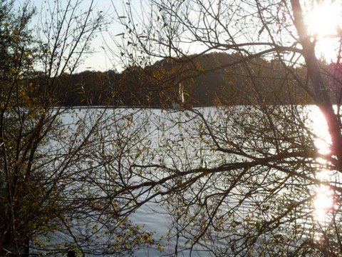 Vivre à Nantes ? - Projet immobilier – Ville / Des quartiers agréables : Opportunités à Nantes : maison / appartement