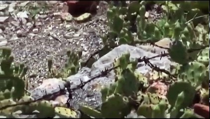Goli otok - Dokumentarni film
