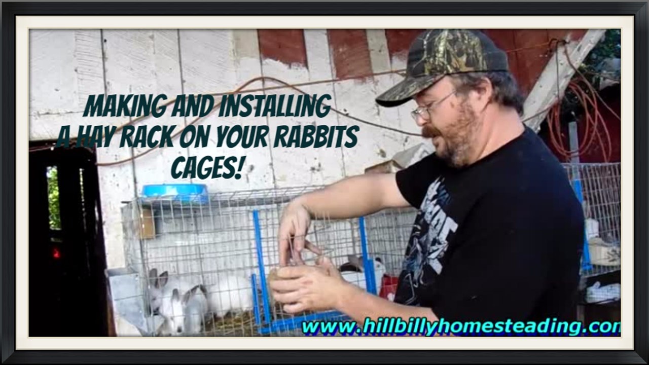 Rabbit Husbandry - Making a Hay Rack and Feeding Alfalfa Hay to Your Rabbits.mp4