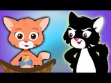 tres pequeños gatitos rima | canciones infantiles colección en español | niños canciones