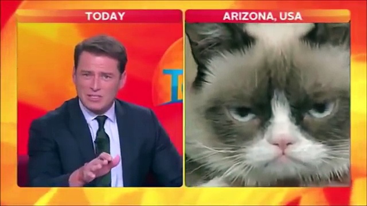 Grumpy Cat Funny Interview Video
