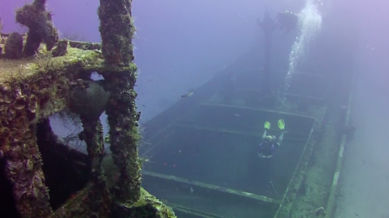 Sport Diver In The Field: Scuba Diving Superior Producer, Curaçao