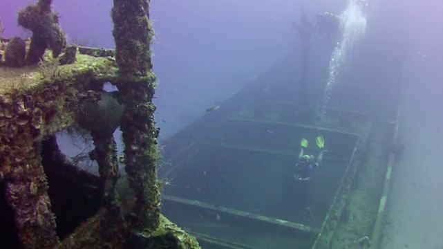 Sport Diver In The Field: Scuba Diving Superior Producer, Curaçao