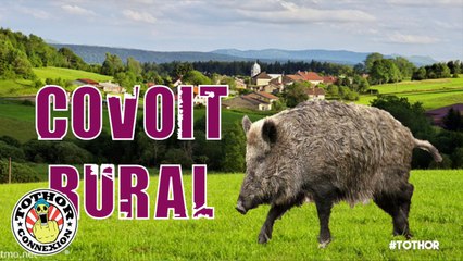 Tothor - Un Sanglier Vivant dans le Coffre (Caméra Cachée)