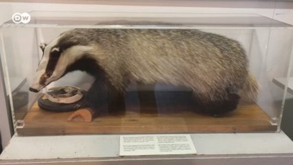 Музей Берлинской стены у КПП "Чарли" (03.10.2016)