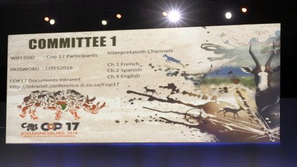 Ivory trade vote exposes divisions on saving elephant