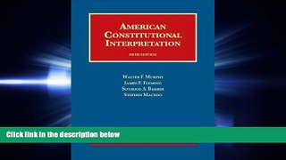 different   American Constitutional Interpretation (University Casebook Series)