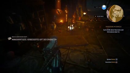 Witcher noob teil 5 (9)