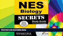 Big Deals  NES Biology Secrets Study Guide: NES Test Review for the National Evaluation Series