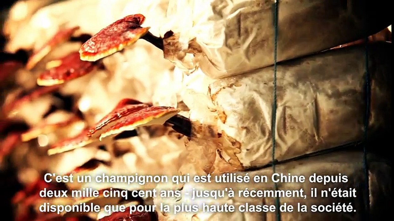 L'importance de la santé