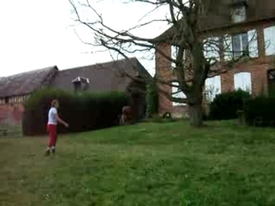 N'est pas morue qui veut