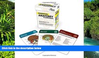 Big Deals  Essential Anatomy Flashcards (Graduate School Test Preparation)  Best Seller Books Best