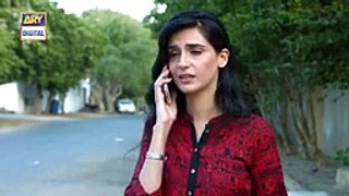 Tum Milay Episode 13 on Ary Digital 3rd October 2016