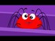 Incy Wincy Spider Nursery Rhyme Song | Itsy Bitsy Spider Children Rhymes