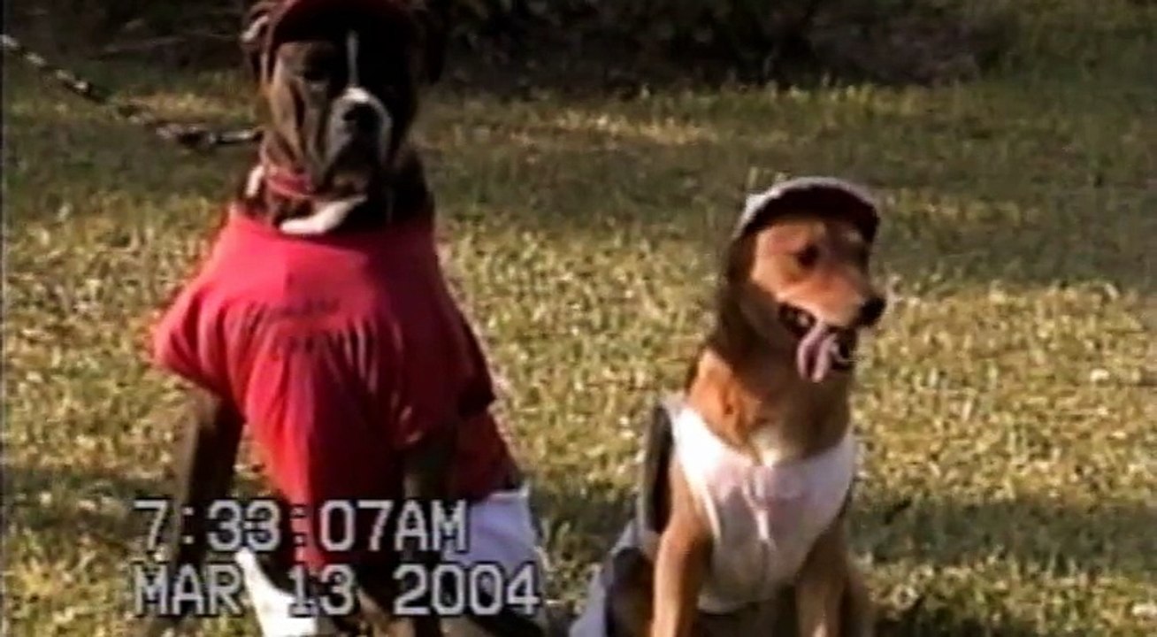 Shamash (2004)
