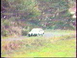 Rallye Livradois-Forez 1988