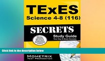 Big Deals  TExES Science 4-8 (116) Secrets Study Guide: TExES Test Review for the Texas