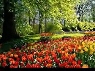 pushto song in coke studio Mast Saaz Aur Zabardast Funny Dance