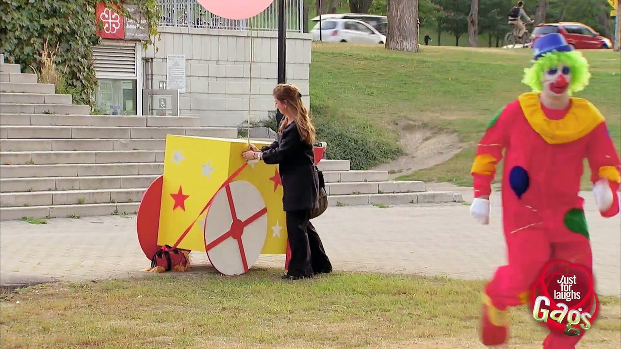 Flying Dog Prank