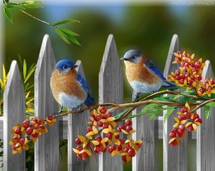 Kuş Sesi Dinlemek İsteyenler Tıklasın