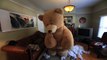 HUGE TEDDY BEAR PRANK!! - HOW TO PRANKS