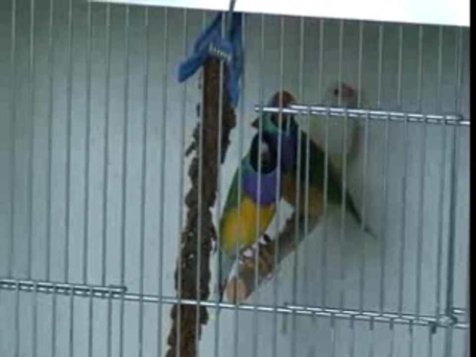 20070810143902