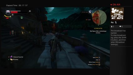 Witcher 3 Dlc Blood and Wine (15)