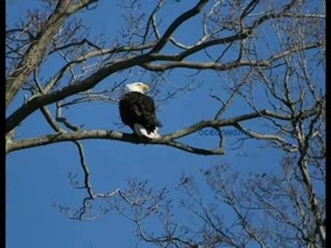 сякаш ти си ми всичко_0001