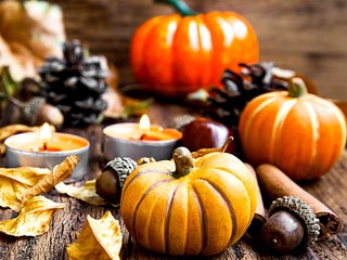 3 Cheap & Easy DIY Home Decor Ideas for Fall