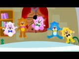 Five Little Teddy Bears Nursery Rhyme