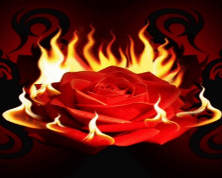 ibrahim tatlıses-ilahi gel gör beni aşk neyledi